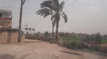 عاصفة رملية مفاجئة تجتاح مدينة الإسماعيلية وسط تحذيرات من تقلبات الطقس الحادة